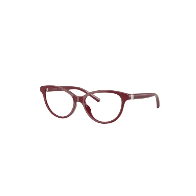 Rame Giorgio Armani AX3138