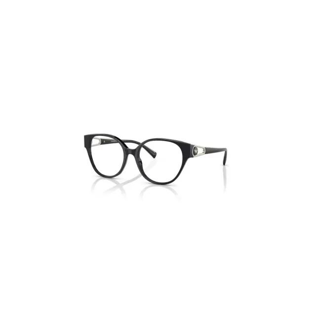 Rame Emporio Armani EA3211
