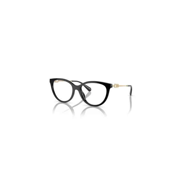 Rame Emporio Armani EA4213U
