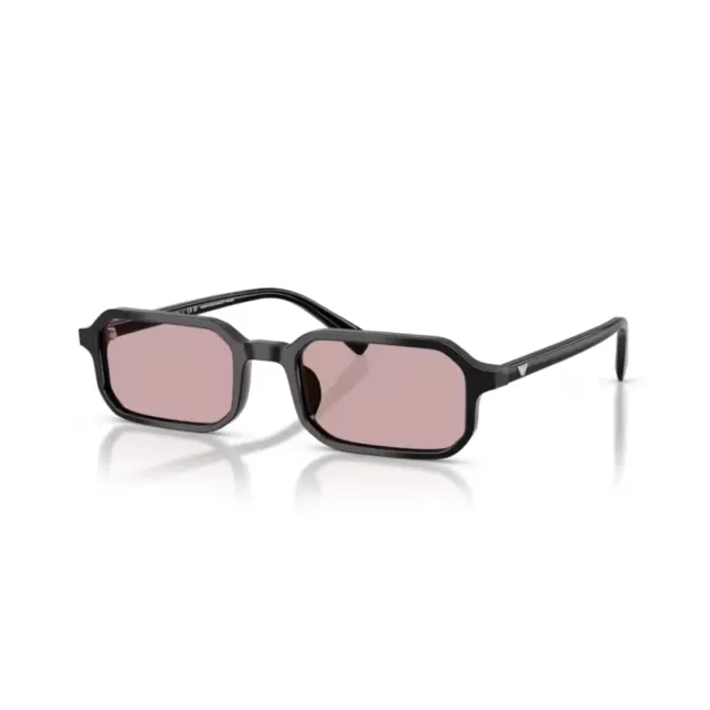Ochelari de soare Emporio Armani EA4253U