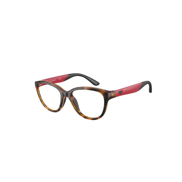 Rame Emporio Armani EK3002