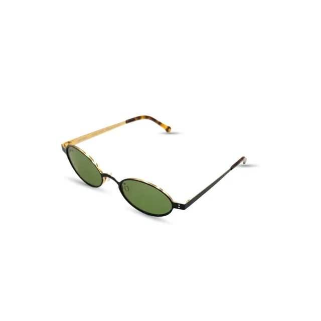 Ochelari de soare Hally&Son HS717S03