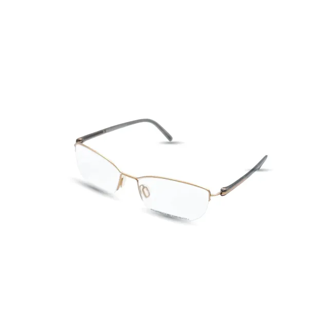 Rame Porsche Design P8244B54