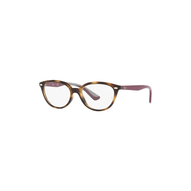 Rame Ray-Ban RB1612