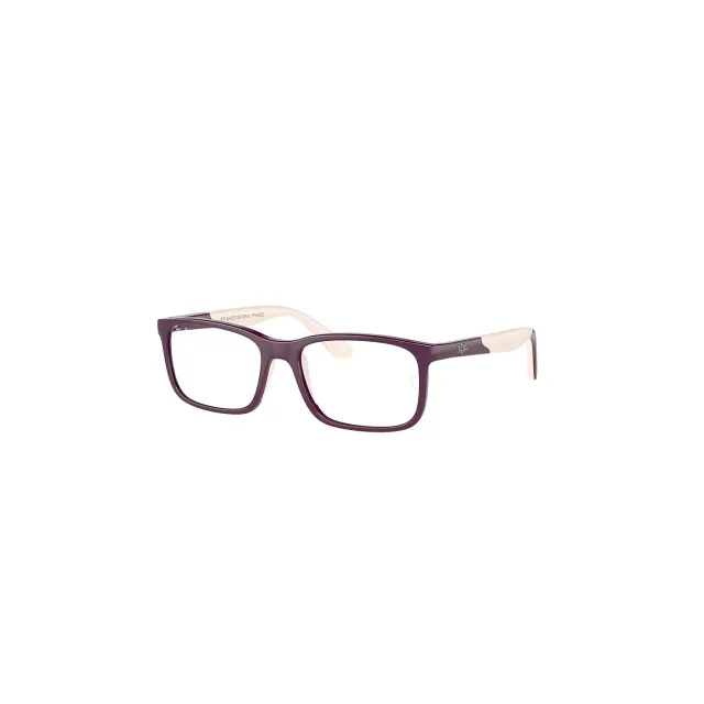 Rame Ray-Ban RB1621