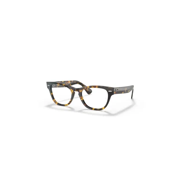 Rame Ray-Ban RB2201V