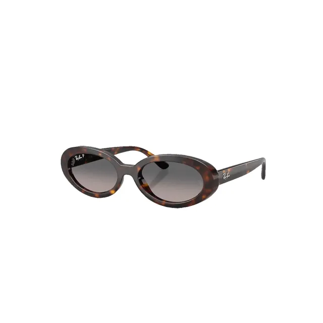 Ochelari de soare Ray-Ban RB2223