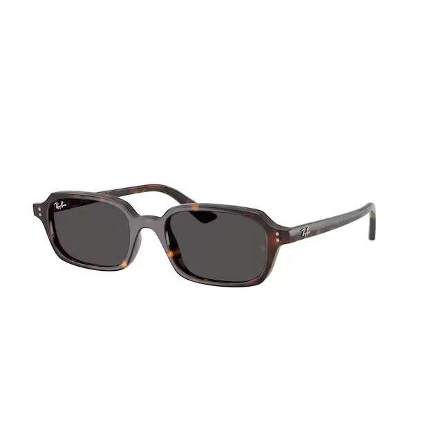 Ochelari de soare Ray-Ban RB4455