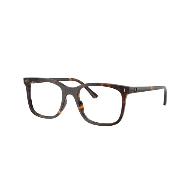 Rame Ray-Ban RB5446