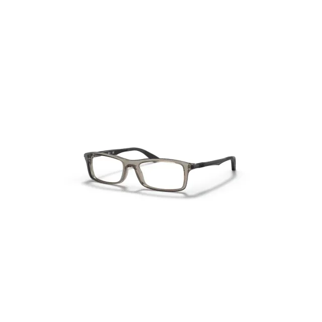 Rame Ray-Ban RB7017