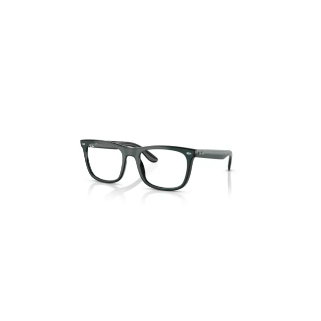 Rame Ray-Ban RB7209