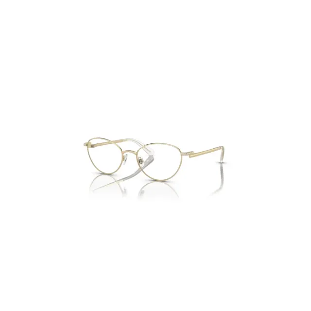 Rame Swarovski SK1002