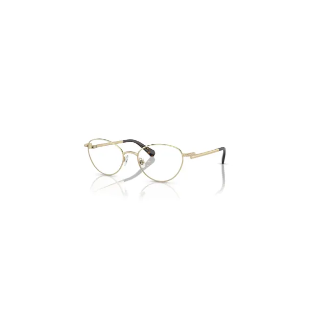 Rame Swarovski SK10024