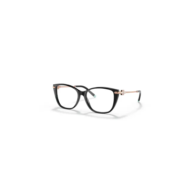 Rame Tiffany&Co TF22168