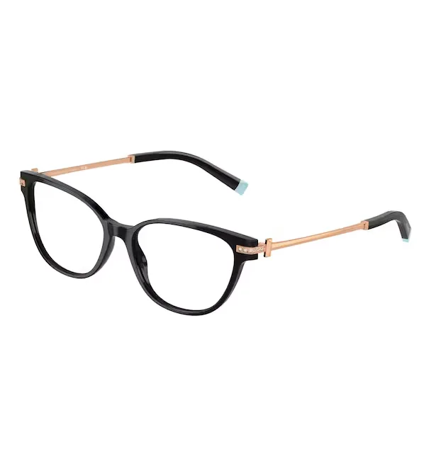 Rame Tiffany&Co TF2223B