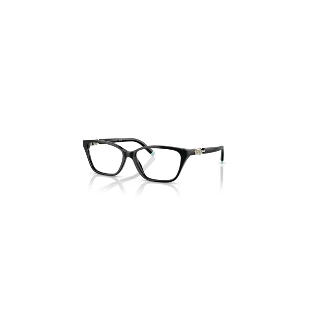 Rame Tiffany&Co TF2229