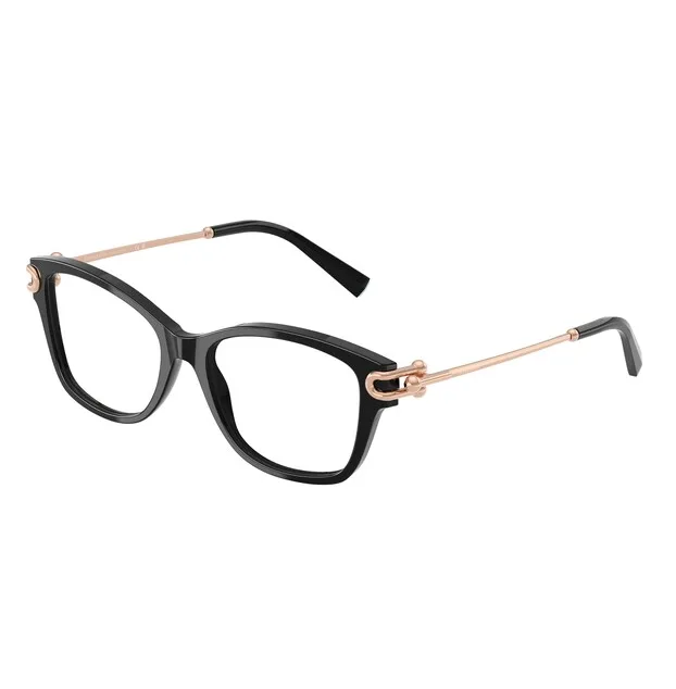 Rame Tiffany&Co TF2266