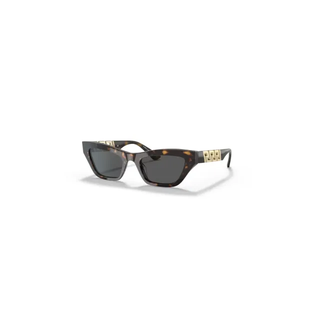 Ochelari de soare Versace VE4419GB